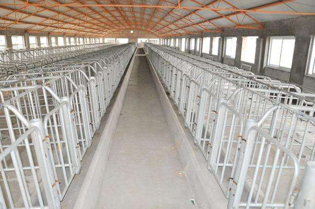 不銹鋼現代養(yǎng)殖場